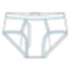 Briefs